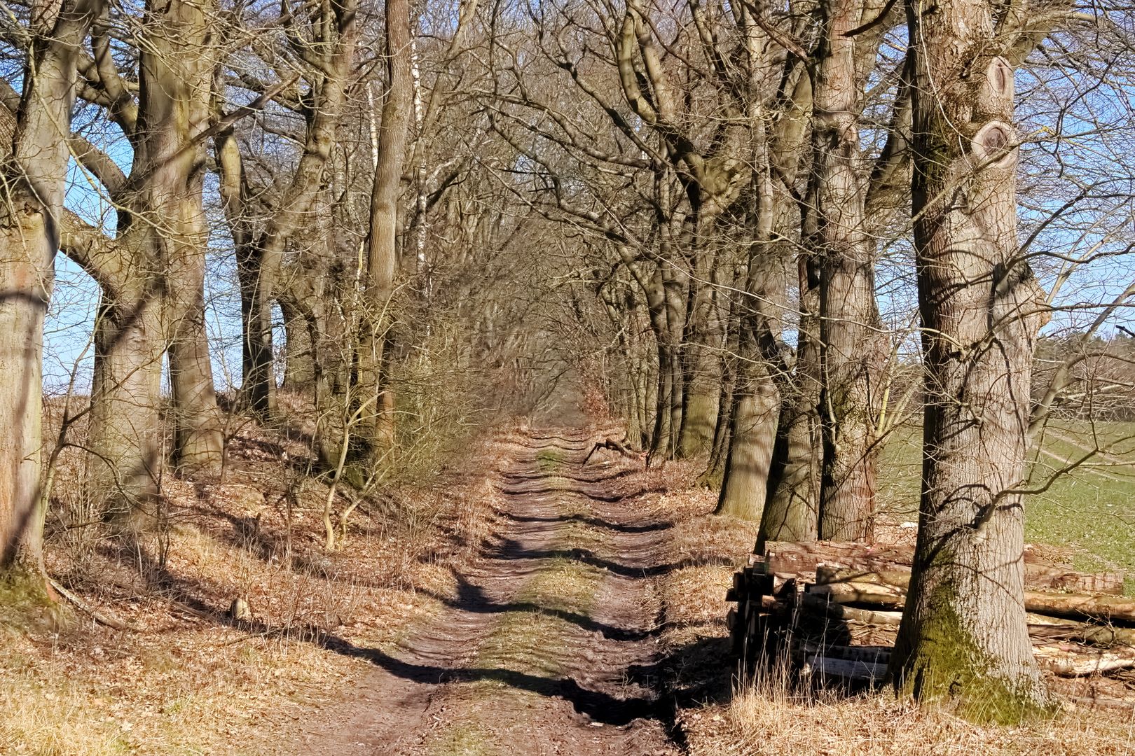 Vom Ruhrgebiet in die Prignitz