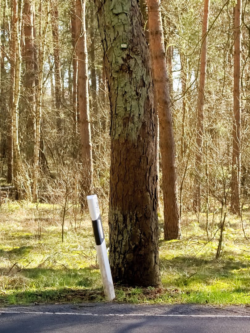 Vom Ruhrgebiet in die Prignitz